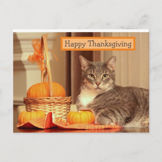 Happy Thanksgiving met Cat Wenskaart Feestdagenkaart (Voorkant)