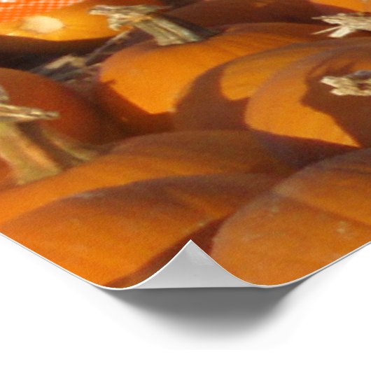 Happy Thanksgiving Poster (Hoek)