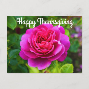 Happy Thanksgiving Princess Anne Roos #1 Briefkaar Briefkaart