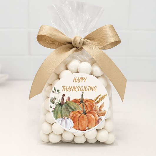 Happy Thanksgiving Pumpkins Oranje Green White Ronde Sticker