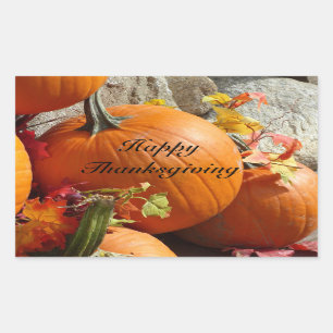 Happy Thanksgiving Rechthoek Pompoen Stickers