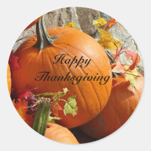 Happy Thanksgiving Ronde Pompoen Stickers