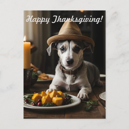 Happy Thanksgiving Schattige Puppy met Pilgrim Pet Briefkaart (Voorkant)