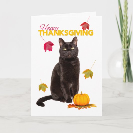 Happy Thanksgiving Schattigee zwarte kat met herfs Feestdagen Kaart (Voorkant)