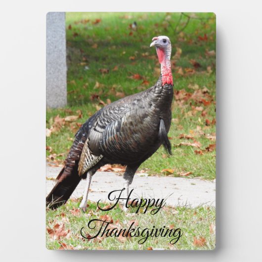 Happy Thanksgiving Turkey Plaque Fotoplaat (voorkant)