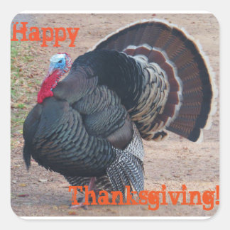 Happy Thanksgiving Turkije Foto Sticker