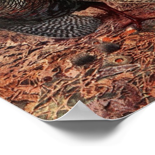 Happy Thanksgiving Turkije Poster (Hoek)