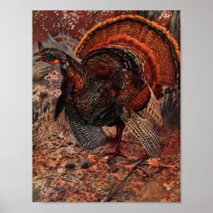  Happy Thanksgiving Turkije Poster
