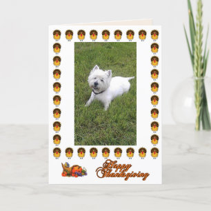 Happy Thanksgiving Westie Card Feestdagen Kaart