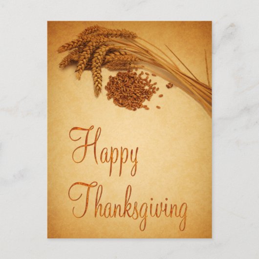  Happy Thanksgiving Wheat Corn Feestdagenkaart (Voorkant)