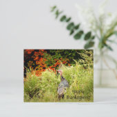 Happy Thanksgiving Wild Turkey Fall Leaves Briefkaart (Staand voorkant)
