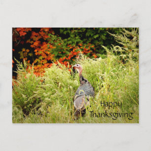 Happy Thanksgiving Wild Turkey Fall Leaves Briefkaart