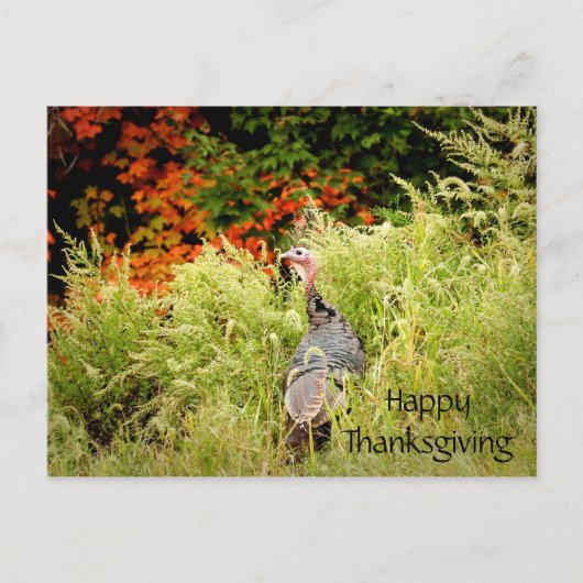 Happy Thanksgiving Wild Turkey Fall Leaves Briefkaart (Voorkant)