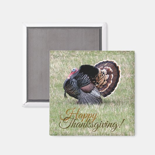 Happy Thanksgiving Wild Turkey Magnet (Voorkant / Achterkant)