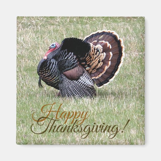 Happy Thanksgiving Wild Turkey Magnet (Voorkant)