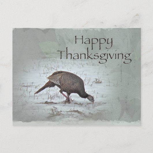 Happy Thanksgiving Wild Turkije Feestdagenkaart (Voorkant)