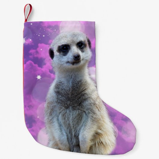 Happy The Meerkat, Kleine Kerstsok (Voorkant)