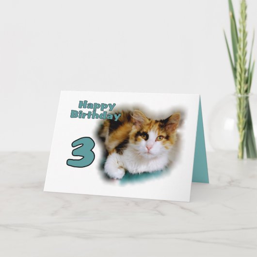 Happy Third Birthday Calico Cat Kaart (Voorkant)