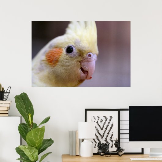 Happy tiel poster (Thuiskantoor)