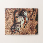Happy Tiger Belly Up Rolling in Leaves Legpuzzel (Horizontaal)