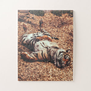 Happy Tiger Belly Up Rolling in Leaves Legpuzzel