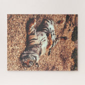 Happy Tiger Belly Up Rolling in Leaves Legpuzzel (Horizontaal)