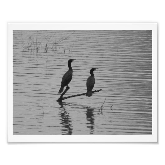 Happy Together Foto Afdruk (Voorkant)