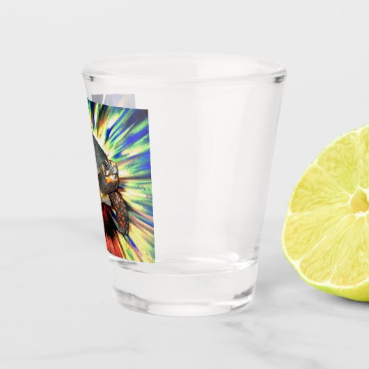 Happy Tortoise Shot Glass Shot Glas (Rechts)