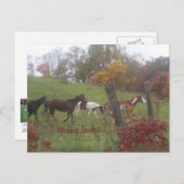 Happy Trails! Briefkaart (Voorkant / Achterkant)