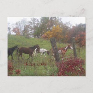 Happy Trails! Briefkaart