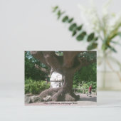 Happy Tree in Alton Towers Briefkaart (Staand voorkant)