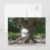 Happy Tree in Alton Towers Briefkaart (Voorkant / Achterkant)