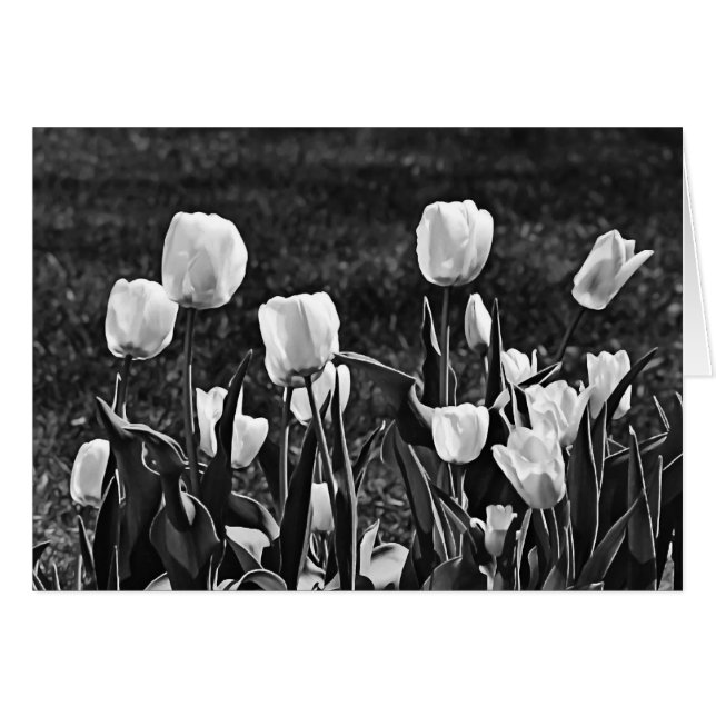 Happy Tulips Black en White (Voorkant Horizontaal)