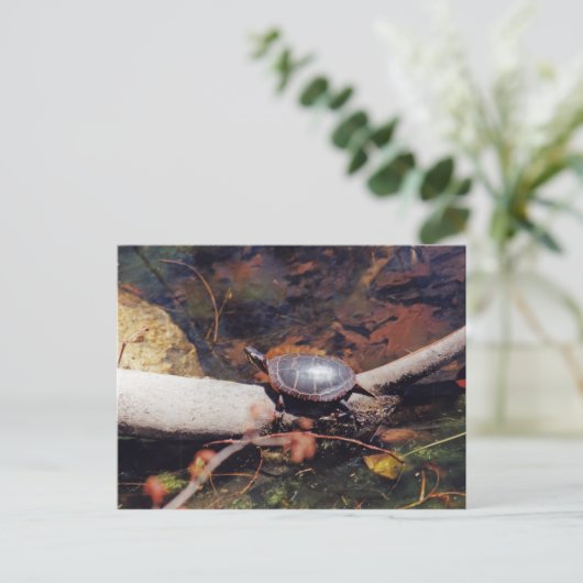 Happy Turtle Briefkaart (Staand voorkant)