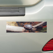 Happy Turtle Bumpersticker (Op auto)