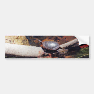 Happy Turtle Bumpersticker