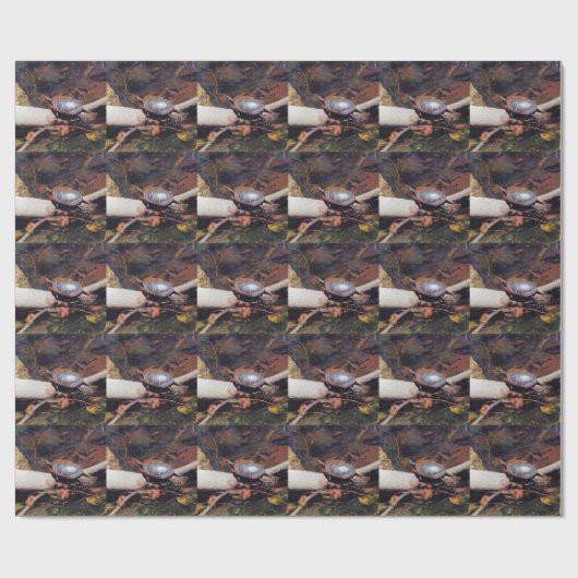 Happy Turtle Cadeaupapier (Vlak)