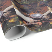 Happy Turtle Cadeaupapier (Rol Hoek)