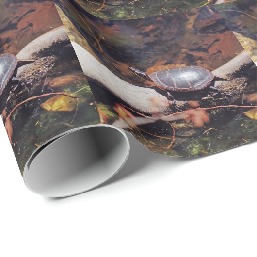 Happy Turtle Cadeaupapier (Rol Hoek)