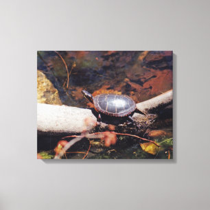 Happy Turtle Canvas Afdruk