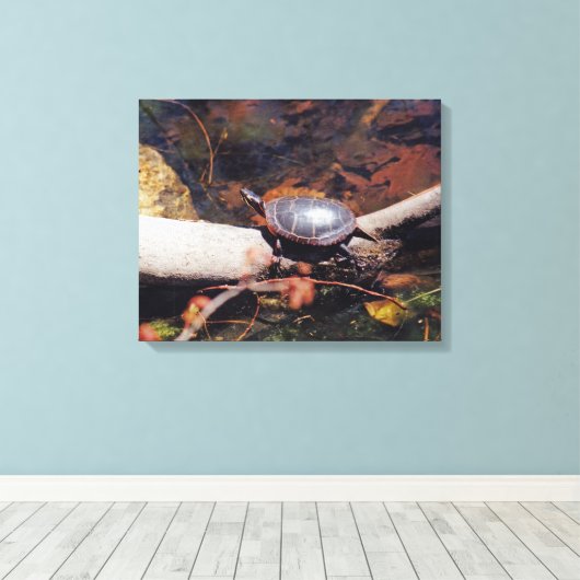 Happy Turtle Canvas Afdruk (Insitu (Houten vloer))
