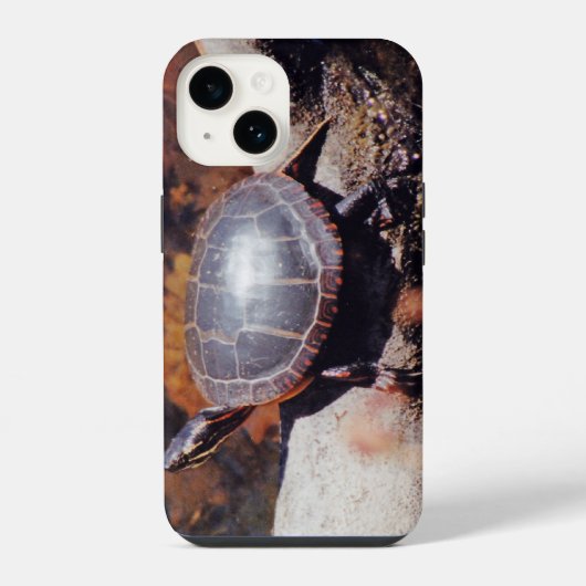 Happy Turtle iPhone Hoesje (Achterkant)