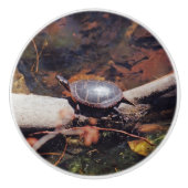 Happy Turtle Keramische Knop (Voorkant)