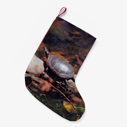 Happy Turtle Kleine Kerstsok (Voorkant (Hangend))