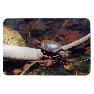Happy Turtle Magneet
