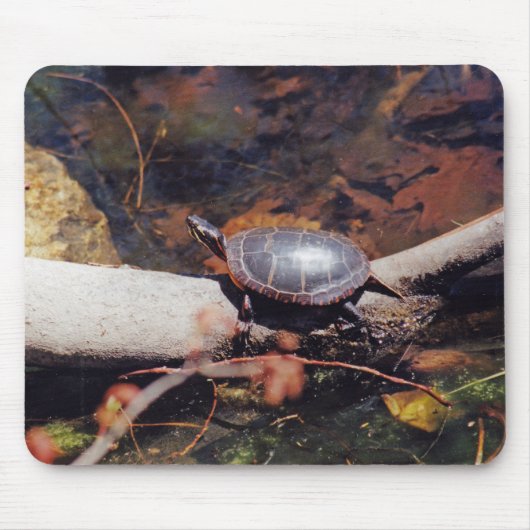 Happy Turtle Muismat (Voorkant)