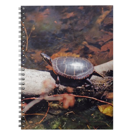 Happy Turtle Notitieboek (Voorkant)