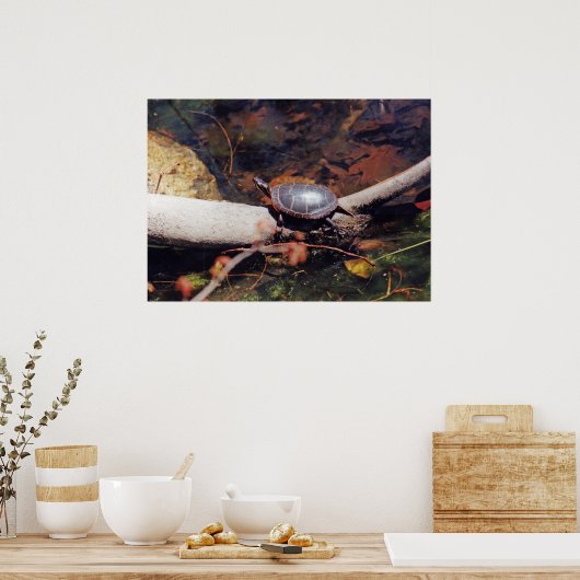 Happy Turtle Poster (Keuken)