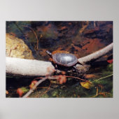 Happy Turtle Poster (Voorkant)
