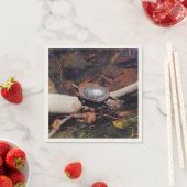 Happy Turtle Servet (Insitu)